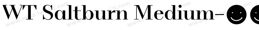WT Saltburn Medium字体转换